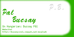 pal bucsay business card